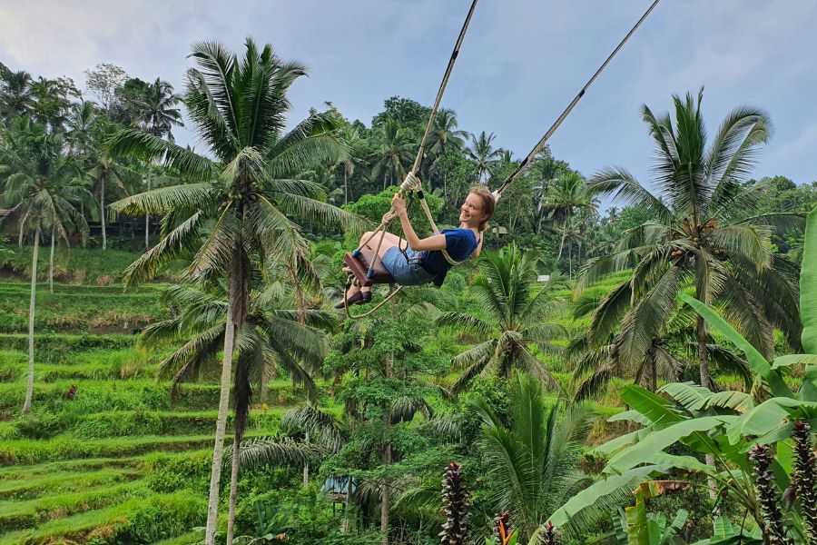 Bali, Tegallalang Rice Terrace