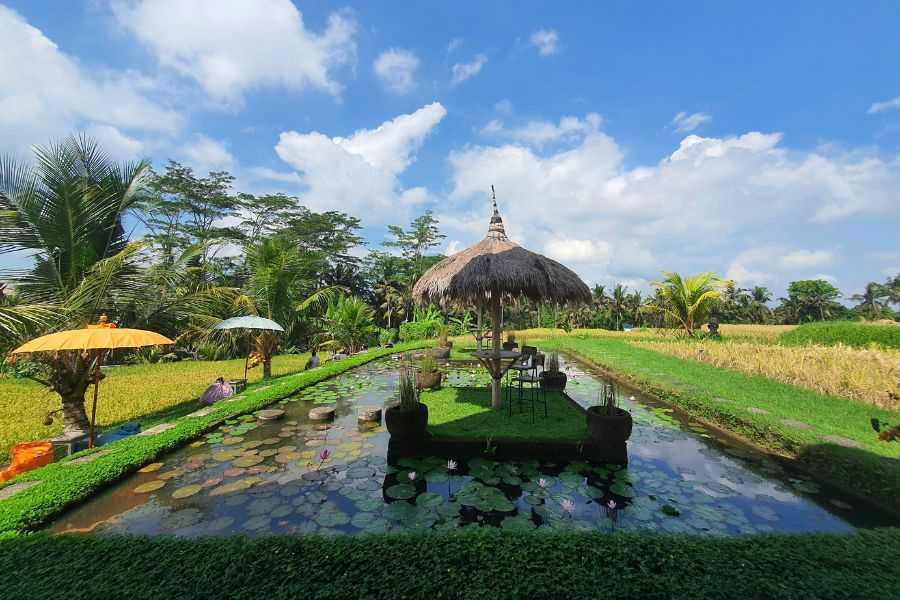 Bali, Ubud