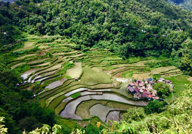Luzon
