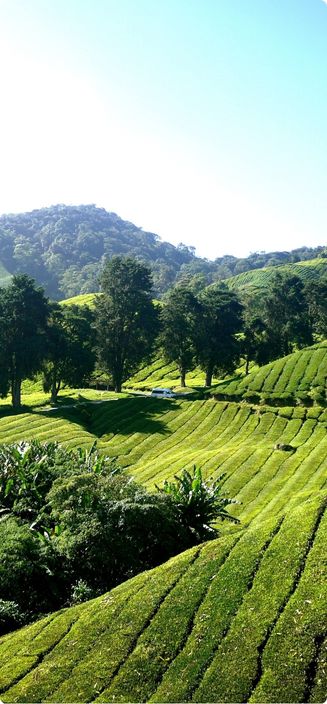 14 Days Singapore &amp; Malaysia Private Tour