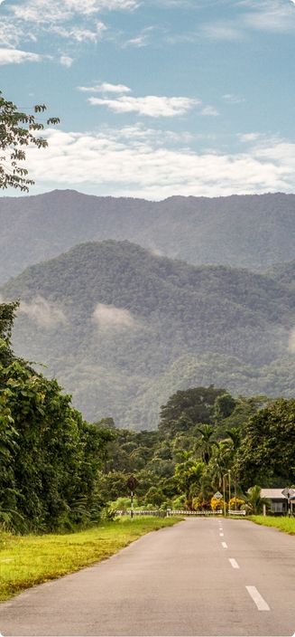 8 Days Tropical Borneo Private Tour