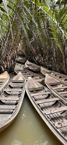 2 Days Can Tho &amp; Mekong Delta Tour
