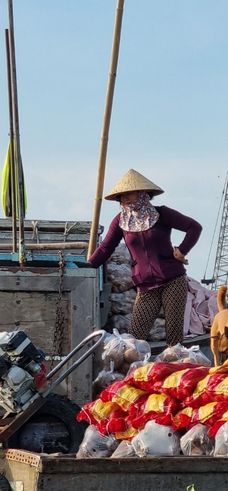 2 Days Can Tho &amp; Mekong Delta Tour
