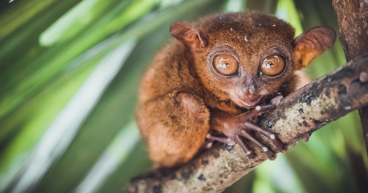 Best time to visit the Philippines 