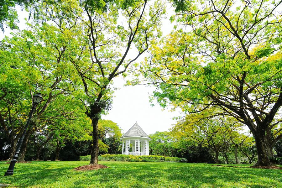 botanic garden