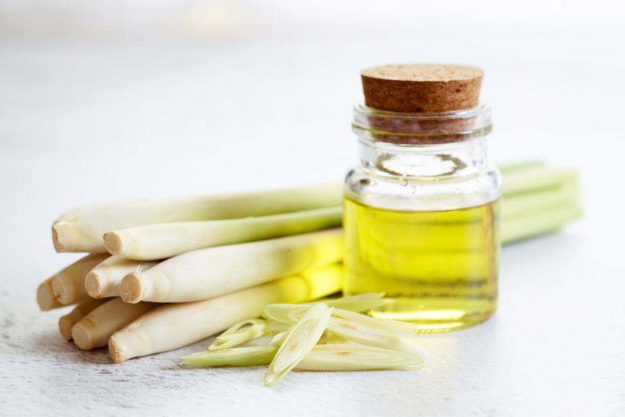 Vietnamese lemongrass essential oil