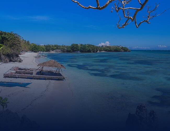 Travel Styles - Beach Retreat Banner