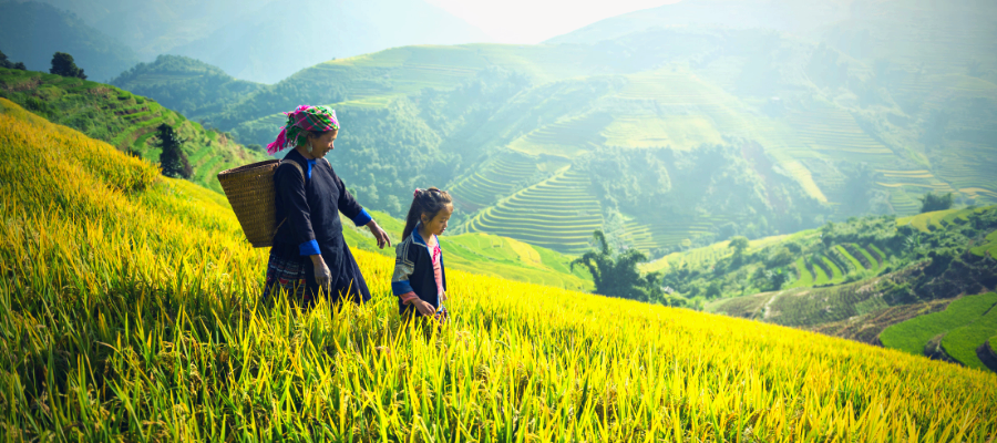 Travel to Sapa