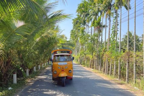 mekong delta