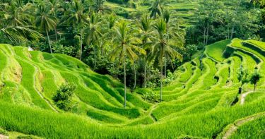 Best time to visit Asia 2026 