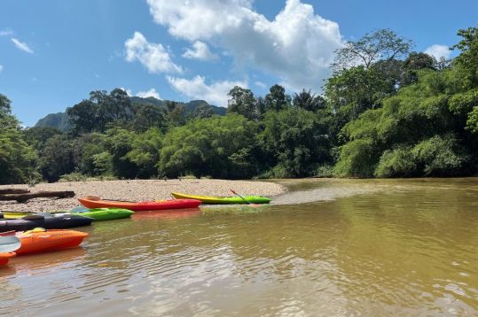 3 Days Jungle-Packed Kuching Tour gallery 3