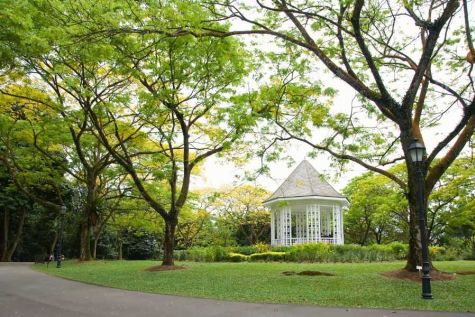 Botanical garden, Singapore