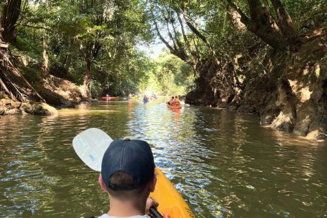 kuching kayak rainforest