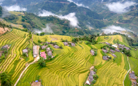 UNESCO World Heritage Banaue Rice Terraces