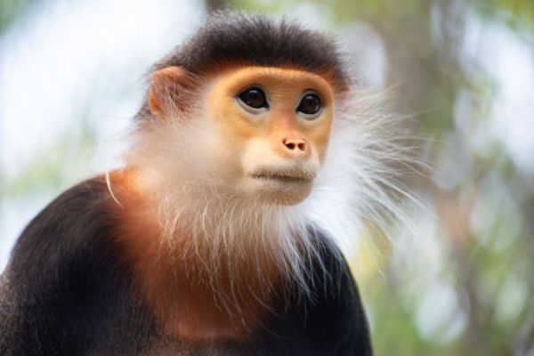 Vietnam private tour