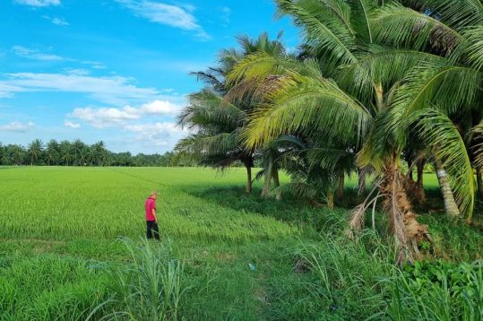 2 Days Mekong Delta Private Tour gallery 3