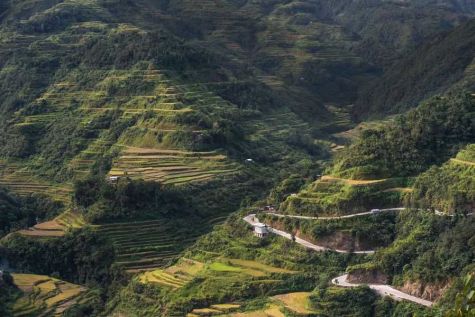 banaue rice terraces