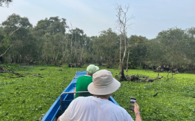 Tra Su mangrove forest - 3 Days Mekong Delta Private Tour