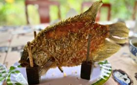 Elephant ear fish in Mekong Delta
