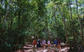 Wander through the lush tropical forest 