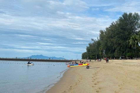 penang national park monkey beach