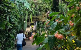 Gardens by the Bay 