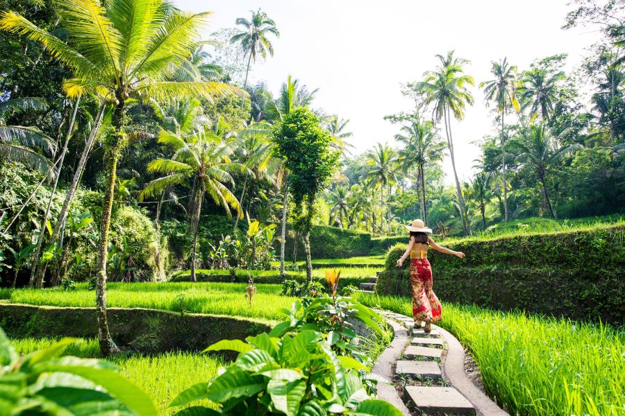 Bali Entry Requirements - Rice Terrace