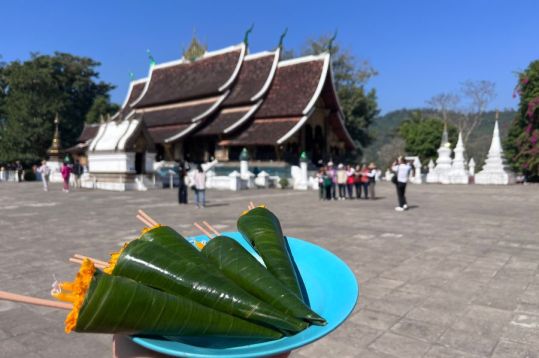 1 Day Luang Prabang Tour gallery