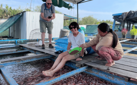 3 Days Saigon &amp; Mekong from Phu Quoc Private Tour