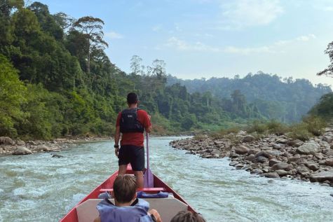Taman Negara