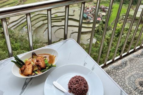 life among rice terraces