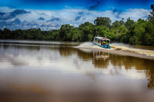 Kinabatangan River