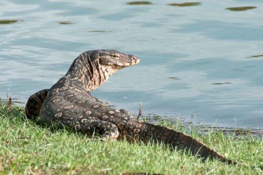 3 Days Kota Kinabalu Tour gallery 2