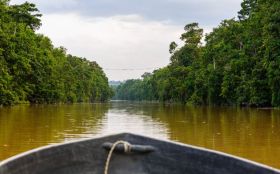 Kinabatangan River