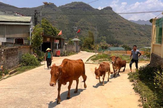 3.5 Days Ha Giang Loop Tour gallery 3