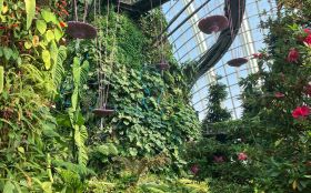 Gardens By the Bay