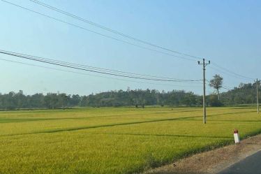 Hoi An countryside