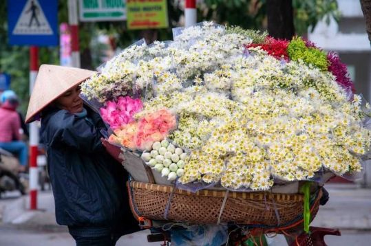 7-e7414d02 image Flower in Hanoi