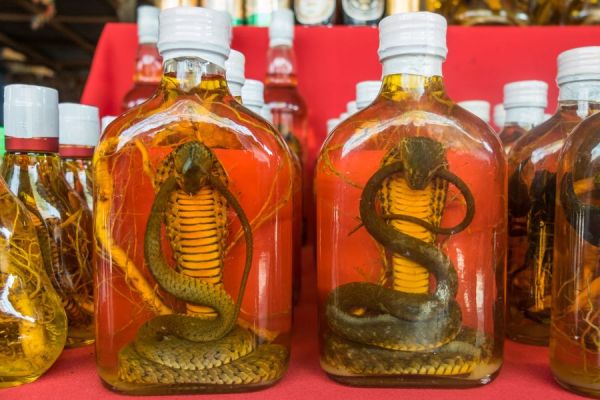 Vietnamese snake wine