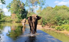 4 Days Buon Ma Thuot Coffee Tour