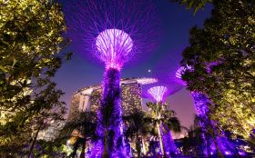 Supertree Grove