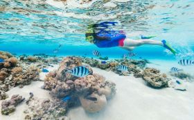 Snorkeling in Kota Kinabalu, Borneo, Malaysia