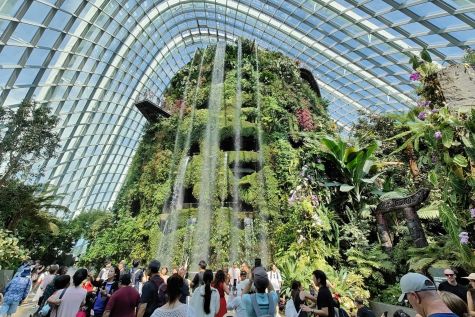 Futuristic Gardens by the Bay