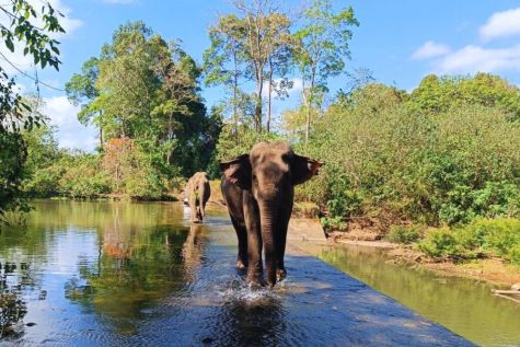 yok don national park