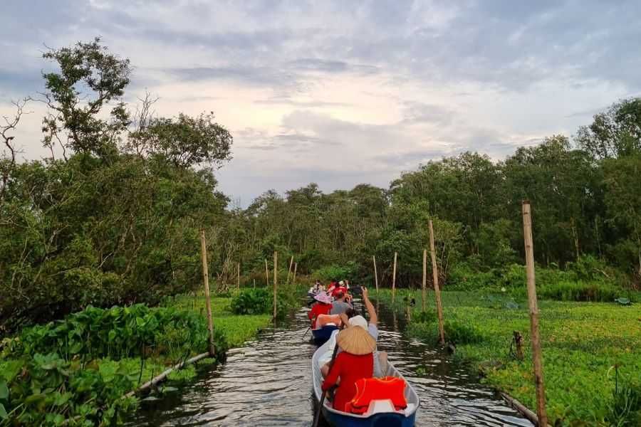 Mekong Delta 3 days private tour: mangrove forest