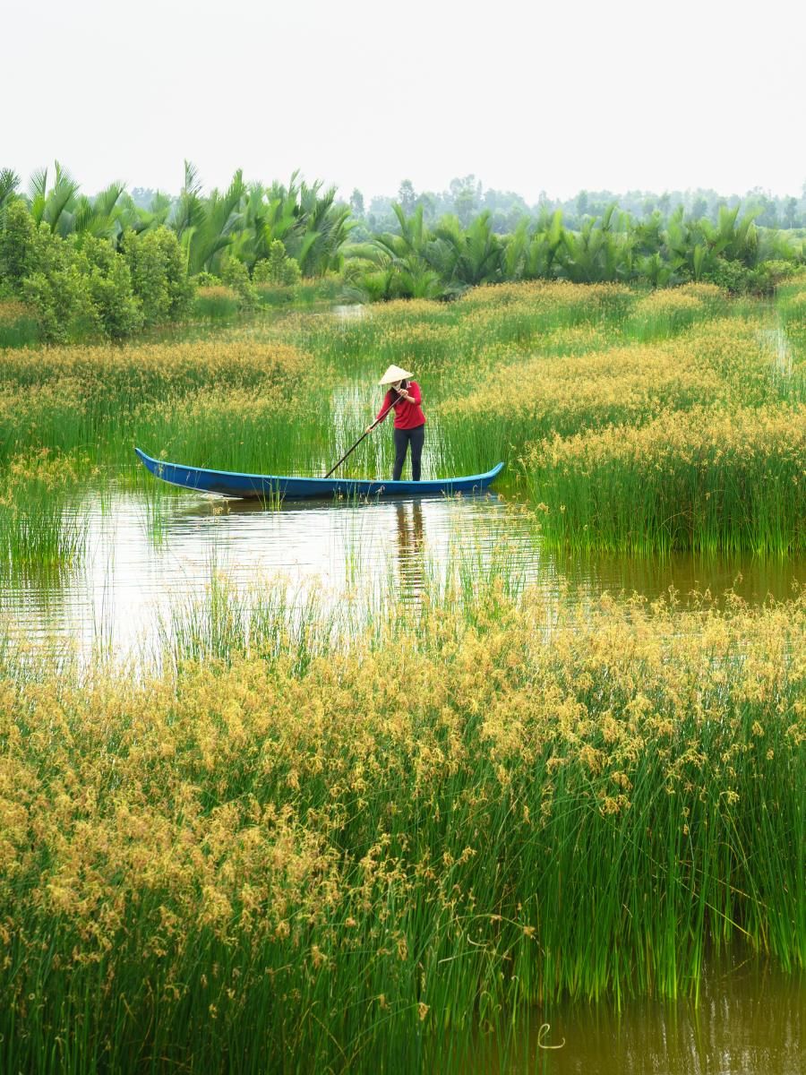 Mekong Delta nature
