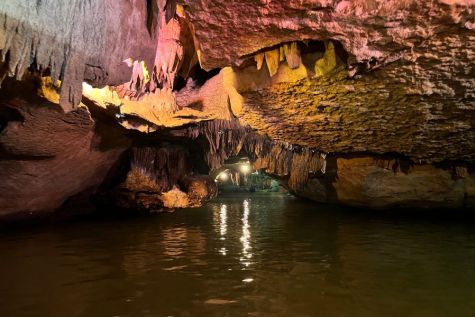 ninh binh tour from hanoi 1 day