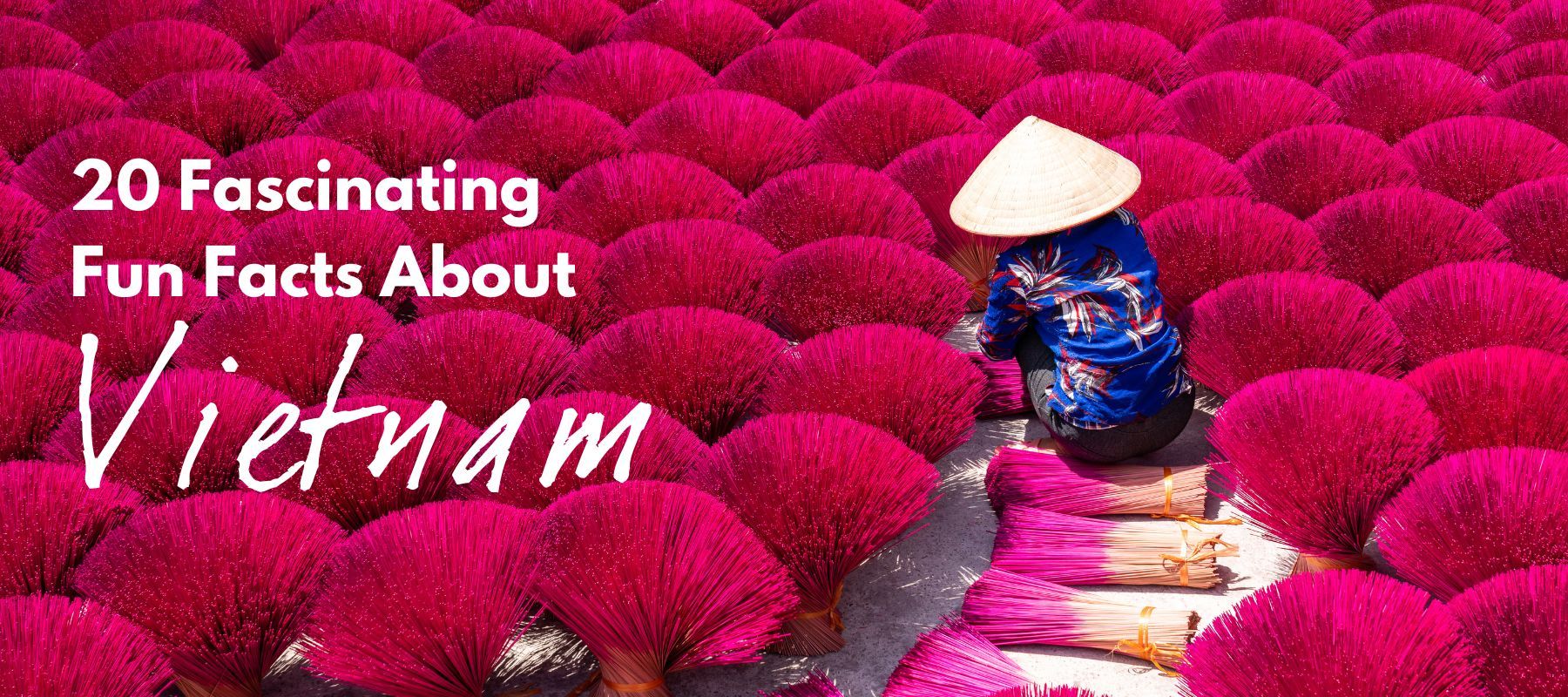 20 fascinating fun facts about Vietnam