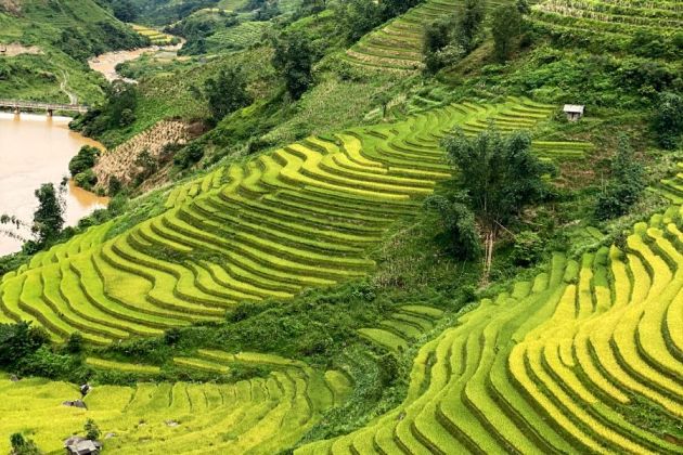 Sapa rice terraces, Northern Vietnam