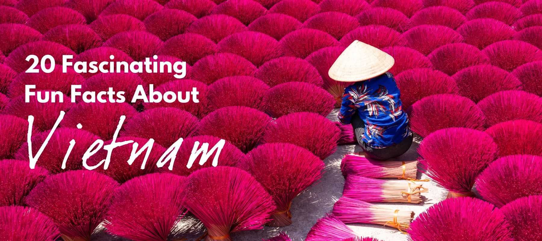 Hanoi Celebrates the Distinctly Vietnamese Beauty of Ao Dai